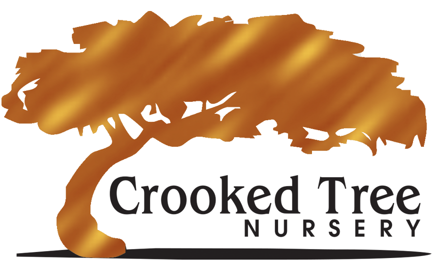 Crooked Tree Nursery Logo