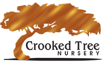 Crooked Tree Nursery Logo