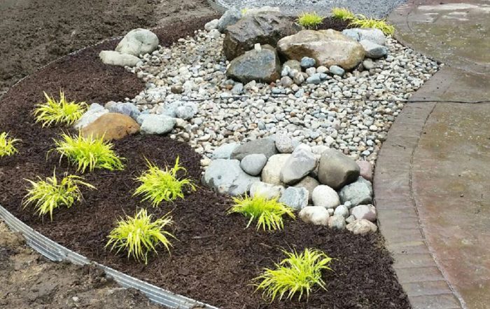 a garden with rocks and plants in it.