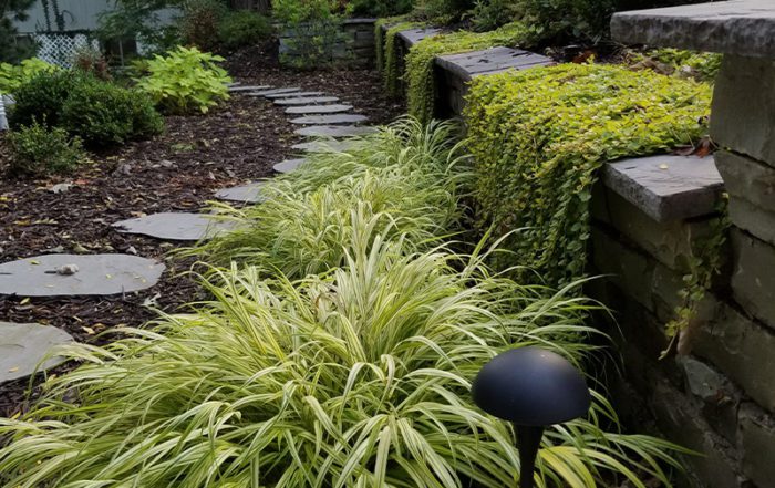 a garden with a stone path and plants.