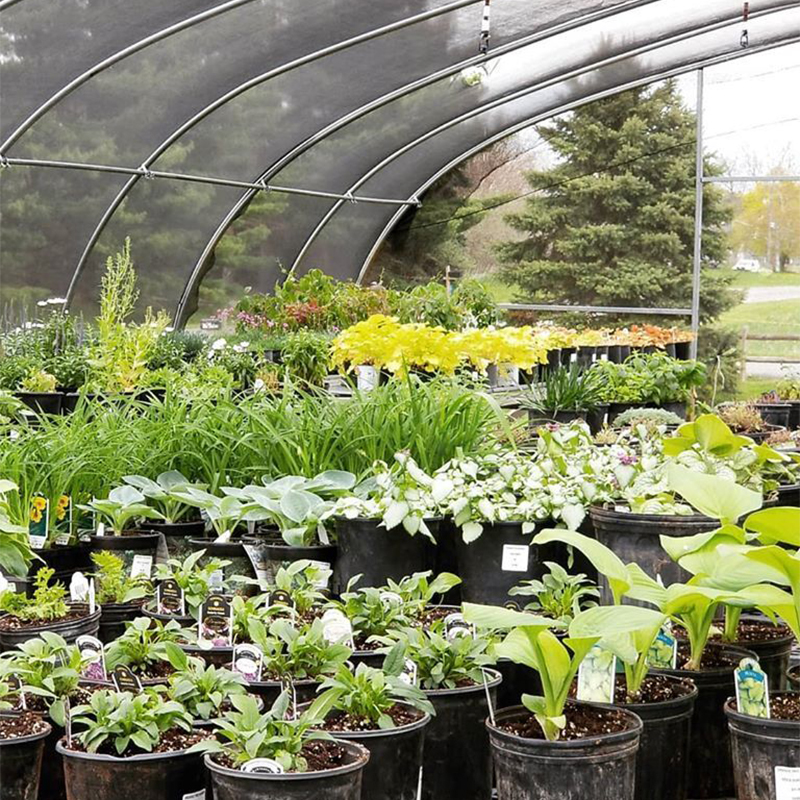 a greenhouse filled with lots of plants and flowers.