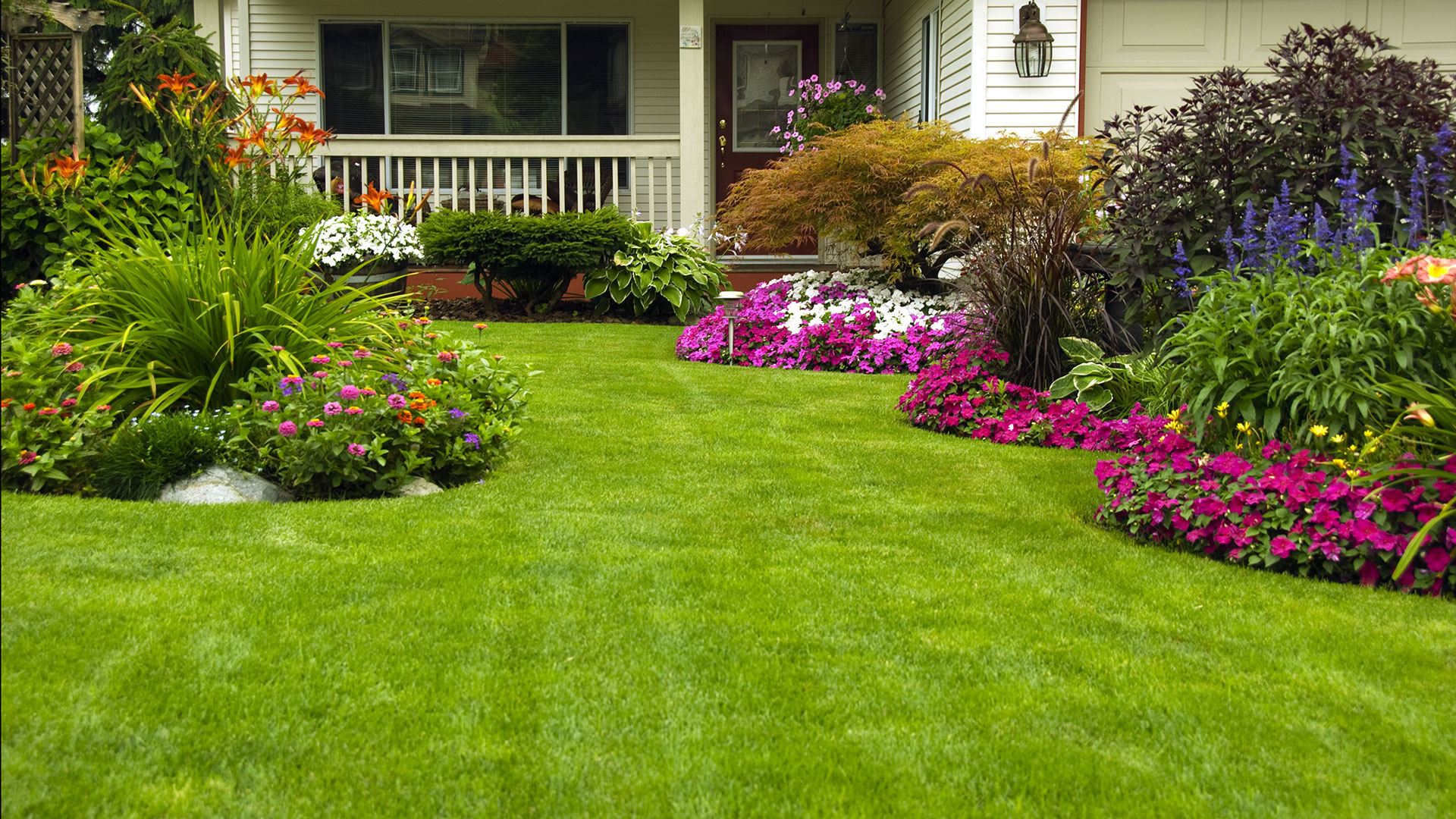 a lawn with flowers and a house in the background.