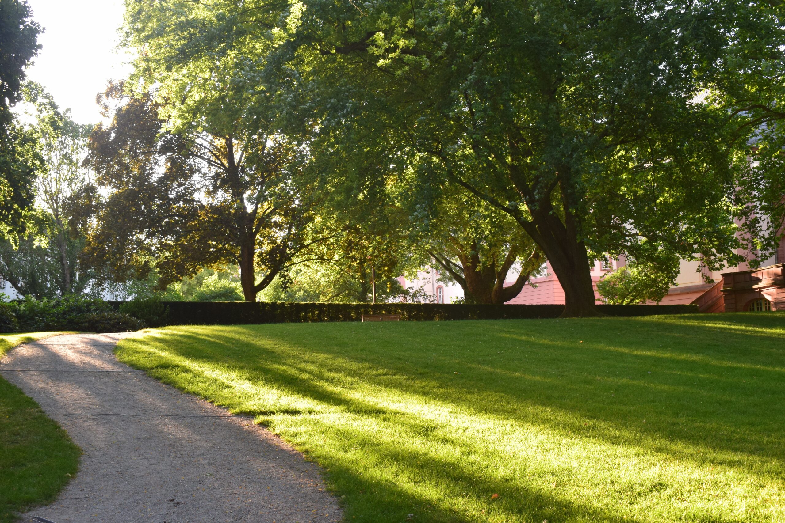 Packaged Services Hero a path winds through a lush green park.