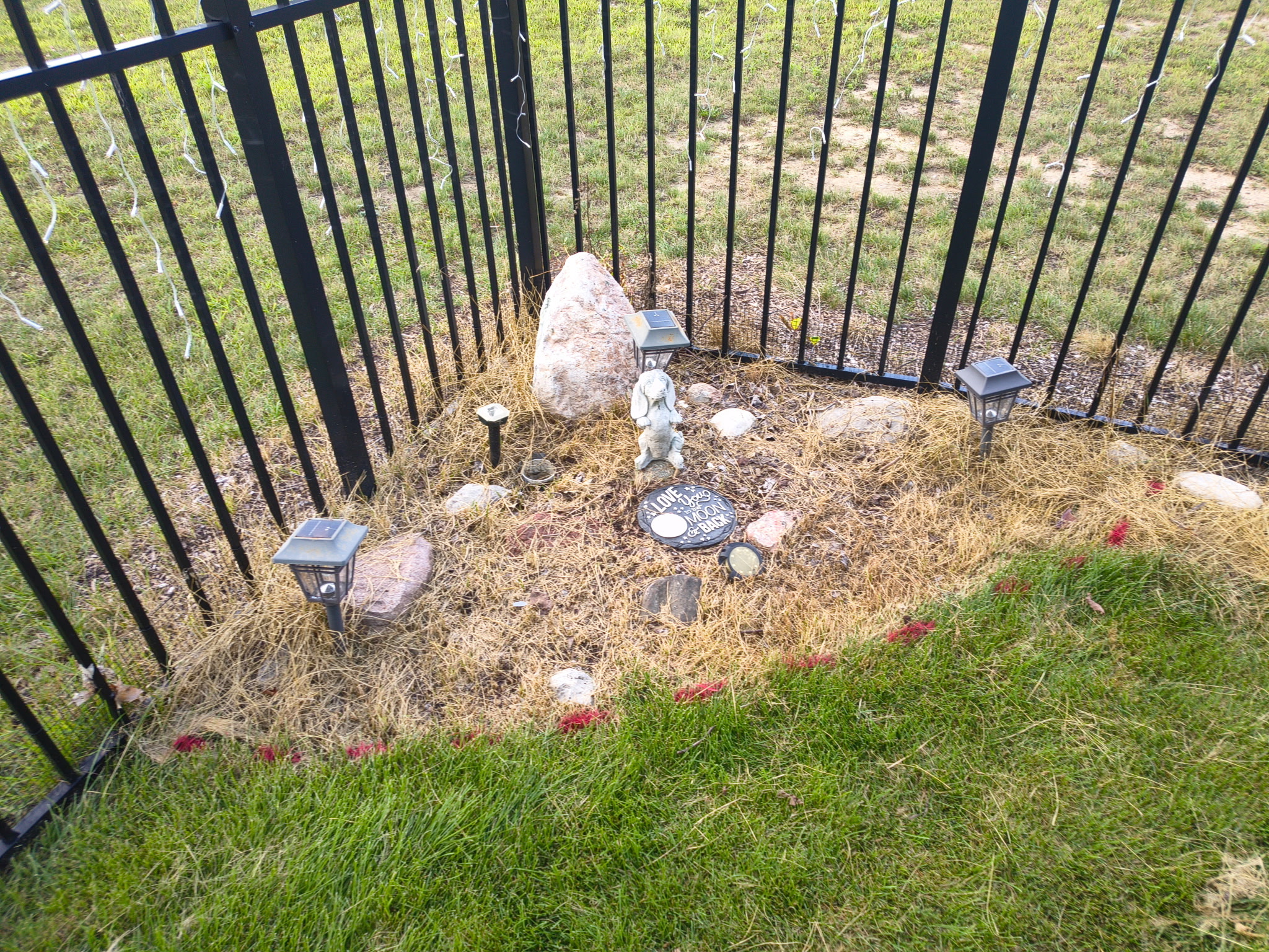 Existing landscape before enhancement
